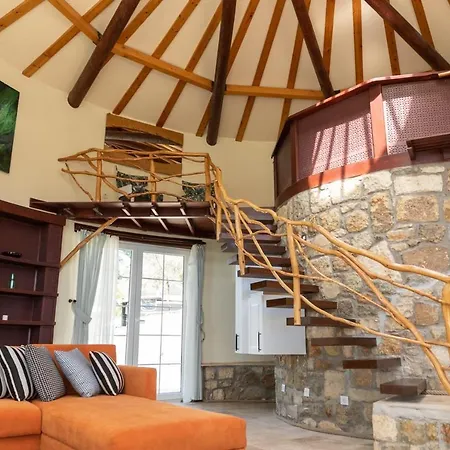 Captivating House With Private Pool Surrounded By Olive Grove In Seferihisar ヴィラ *