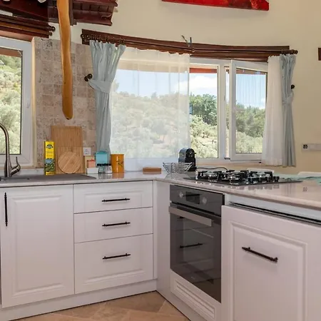 Captivating House With Private Pool Surrounded By Olive Grove In Seferihisar ヴィラ セェフェリヒサール