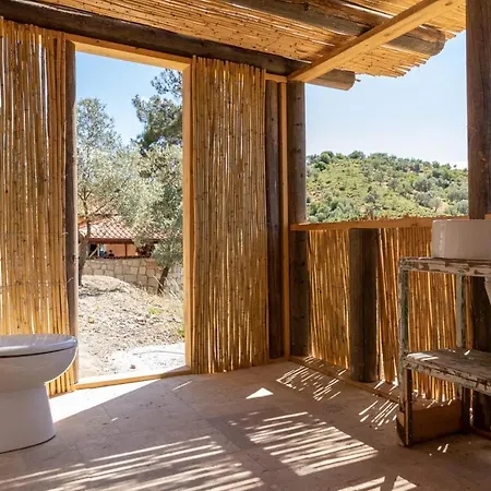 Captivating House With Private Pool Surrounded By Olive Grove In Seferihisar ヴィラ *