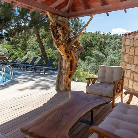 Captivating House With Private Pool Surrounded By Olive Grove In Seferihisar セェフェリヒサール