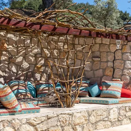 ヴィラ Captivating House With Private Pool Surrounded By Olive Grove In Seferihisar セェフェリヒサール